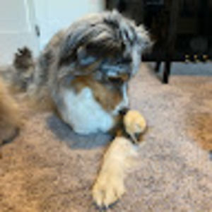 Meet your Posher, Mira